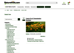 aboutdaylilies.com