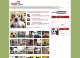 adopt.dogtime.com