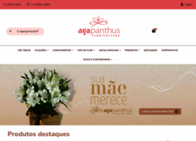 agapanthus.com.br