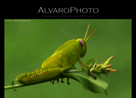 alvarophoto.com