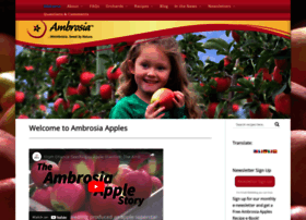 ambrosiaapples.com