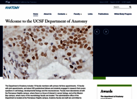 Anatomy.ucsf.edu