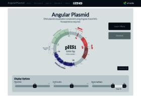 Angularplasmid.vixis.com