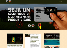 angus.org.br