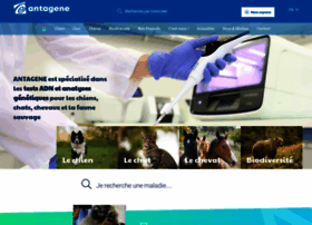 antagene.com