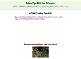 azbitki.com