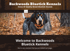 backwoodsblueticks.com