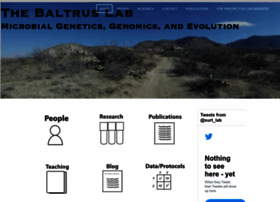 Baltruslab.com