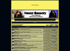 bassety.net