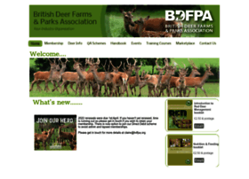 bdfpa.org
