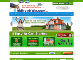 Bidnownwin.com
