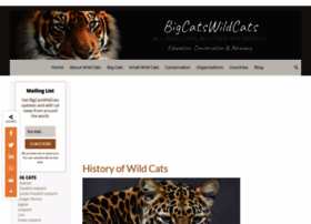Bigcatswildcats.com