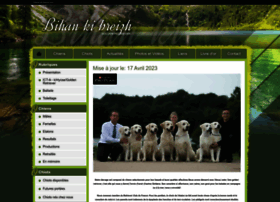 bihan-ki-breizh.chiens-de-france.com
