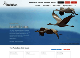 birds.audubon.org