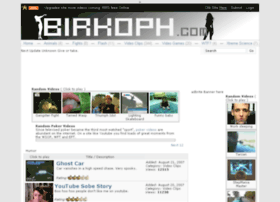 birkoph.com