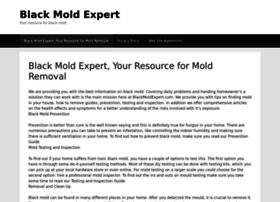 blackmoldexpert.com