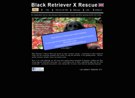 blackretrieverx.co.uk