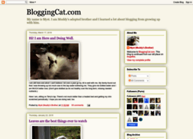 bloggingcat.blogspot.com