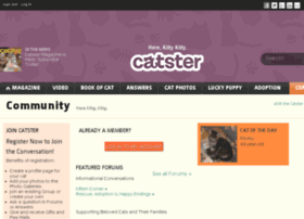 blogs.catster.com