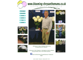 Blooming-chrysanthemums.co.uk