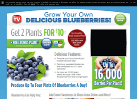 blueberrygiant.com