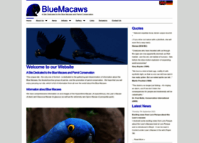 bluemacaws.org