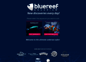 bluereefaquarium.co.uk