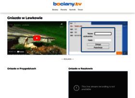 bociany.tv