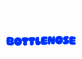 bottlenose.com