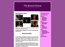 Brasch-group.com
