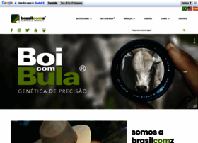 brasilcomz.com
