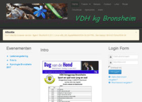 Bronsheim.com