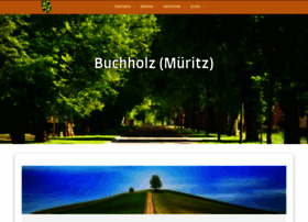 buchholz-mueritz.de
