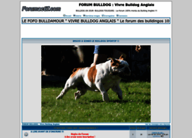 bulldog.forumsactifs.com