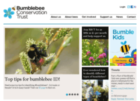 Bumblebeeconservation.org.uk