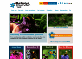 bumblebeeconservation.org
