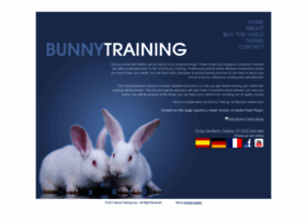 Bunnytraining.com