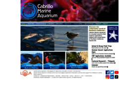 cabrillomarineaquarium.org