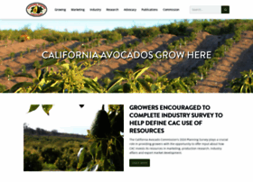 Californiaavocadogrowers.com