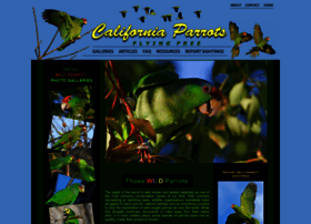 Californiaparrots.us