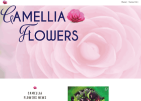 Camelliaflowers.com.au