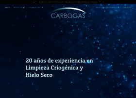 carbogasdemexico.com