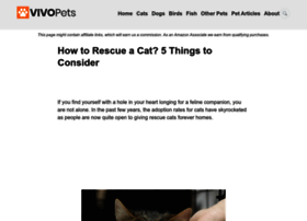 Cat-rescue.org