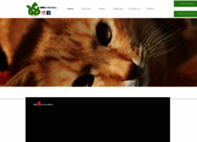 Catsconservatory.com.au