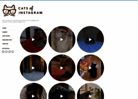 Catsofinstagram.com