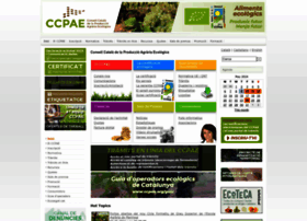 ccpae.org