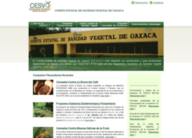 cesvo.org.mx