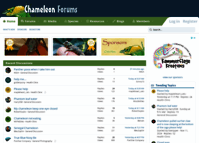 chameleonforums.com