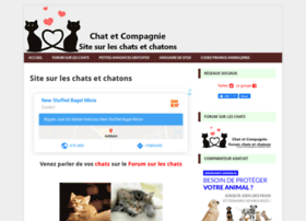 chat-et-cie.fr