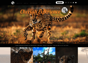 Cheetahexperience.com